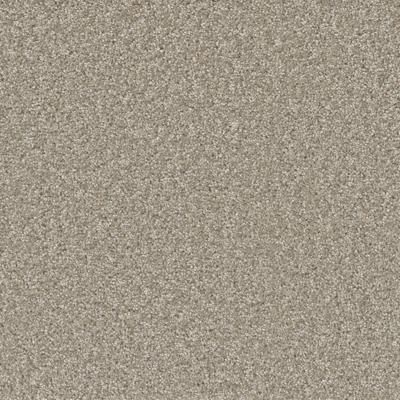 Dreamweaver SP251 - Clam Shell | All American Flooring